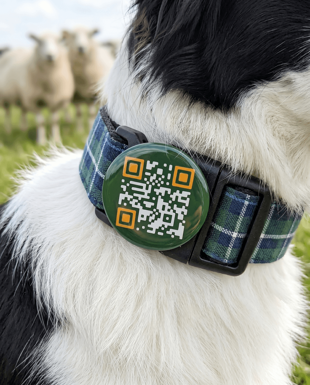 An AgTag button pinned to clothing or an accessory.