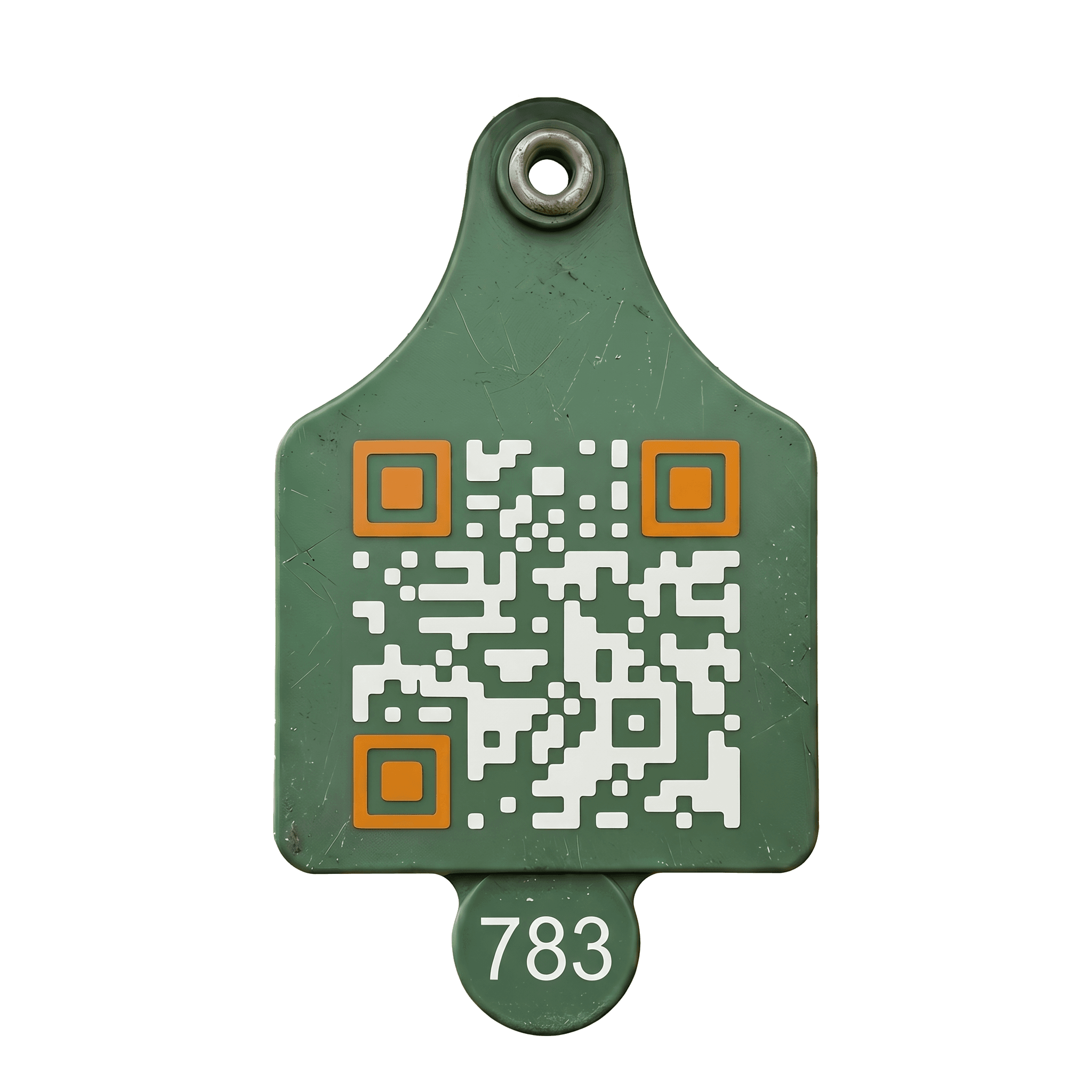 AgTag ear tag prototype — a livestock ear tag with a QR code stamped into the front.