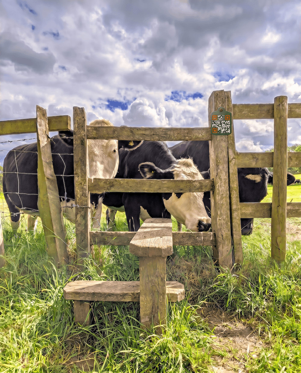 An AgTag rugged tag fixed to farm hardware — gate, post or implement.